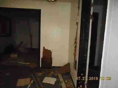 16737 Dolphin (7)_m.jpg